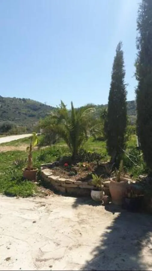 Finca Los Natachos Coin 0*,